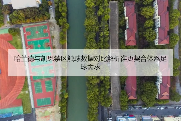 哈兰德与凯恩禁区触球数据对比解析谁更契合体系足球需求